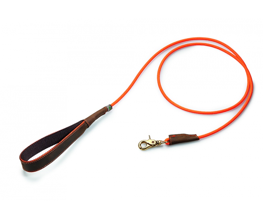 Dog leash